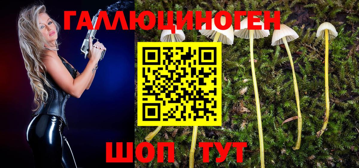 Муром  Галлюциногенные грибы Cubensis  Галлюциногенные грибы мухоморы  Вход с VPN 